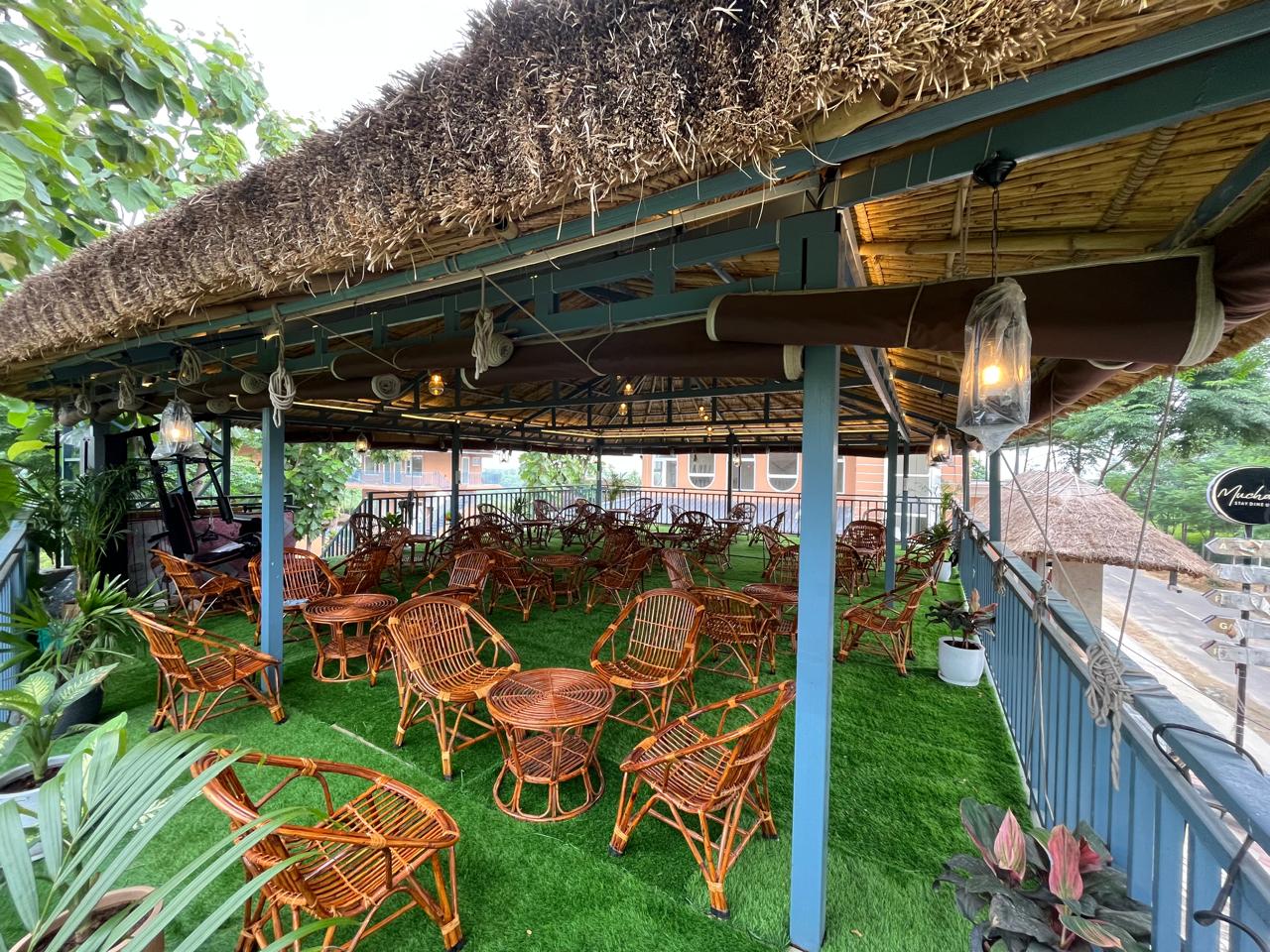 Lawn area